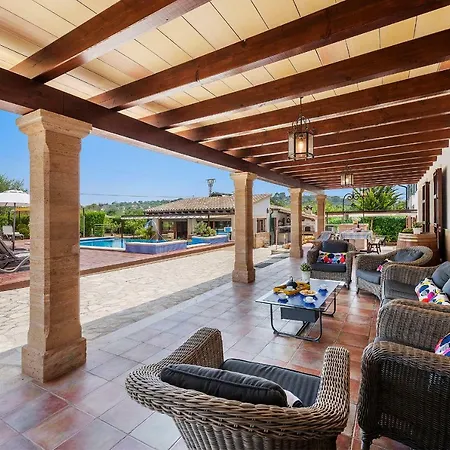 فيلة Morell Vell *