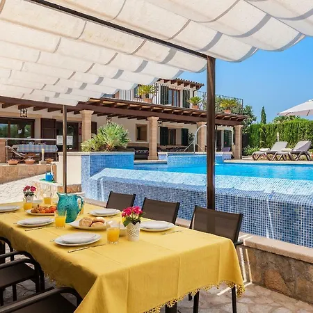 فيلة Morell Vell *